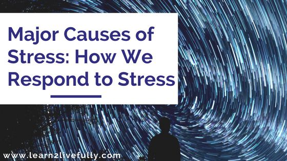 major causes of stress